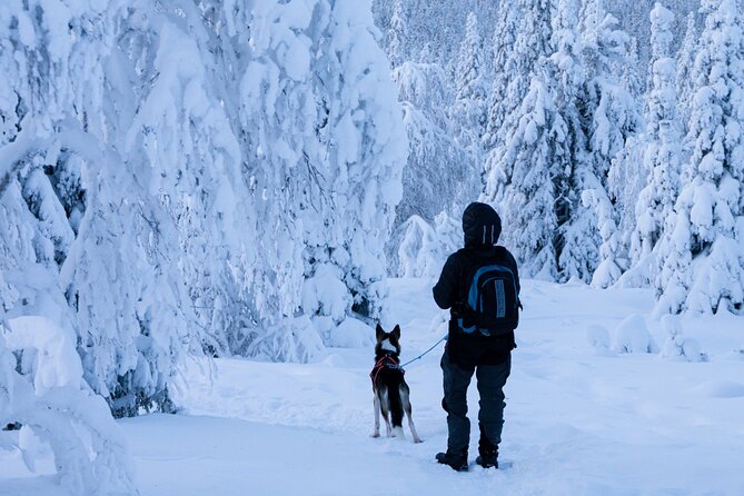 Lapland Wilderness Adventure - Explore Wild Arctic Trails - Quick practical info, so you plan smart
