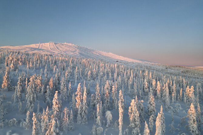 Lapland Wilderness Adventure - Explore Wild Arctic Trails - Price and value, what $157.21 really covers
