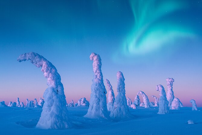 Lapland Wilderness Adventure – Explore Wild Arctic Trails - Stop 1 in Pallas-Yllästunturi National Park, winter roads and polar-light chances