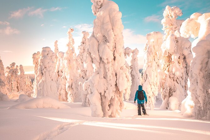 Lapland Winter Experience - Why this Rovaniemi snowshoe hike feels more real than a drive-by