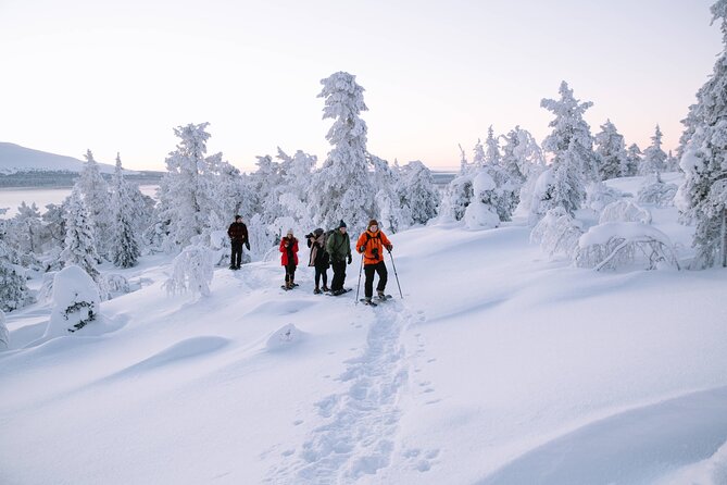 Lapland Winter Experience - Hotel pickup, meeting point, and what “3 hours” usually includes