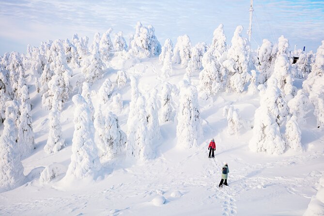 Lapland Winter Experience - Group size and weather: the two things that affect your day