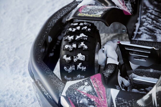 Lapland Winter Park Ice Karting Experience in Rovaniemi Finland - Price and Value: What the $83 Covers, and What It Does Not