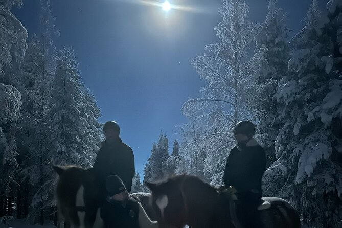 Late Night Ride with Finnhorses - Where This Tour Shines Most: Horses, Atmosphere, and Friendly Staff