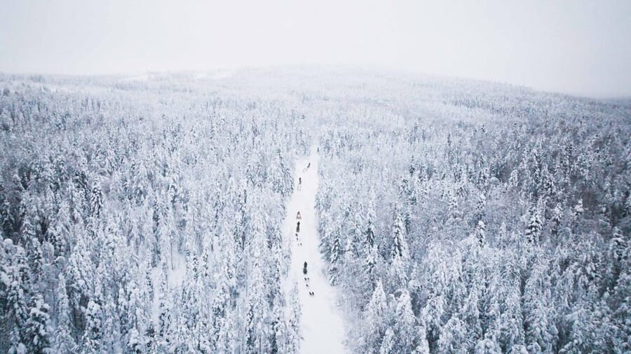 Levi: 15-Kilometres Self-Driving Husky Tour - Key points you will care about