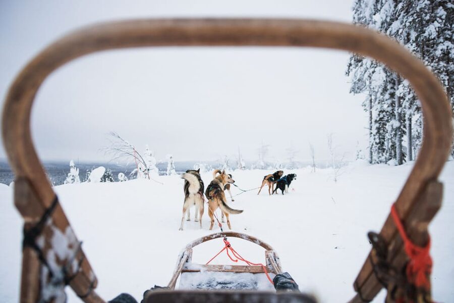 Levi: 15-Kilometres Self-Driving Husky Tour - Who should book this self-driving husky tour