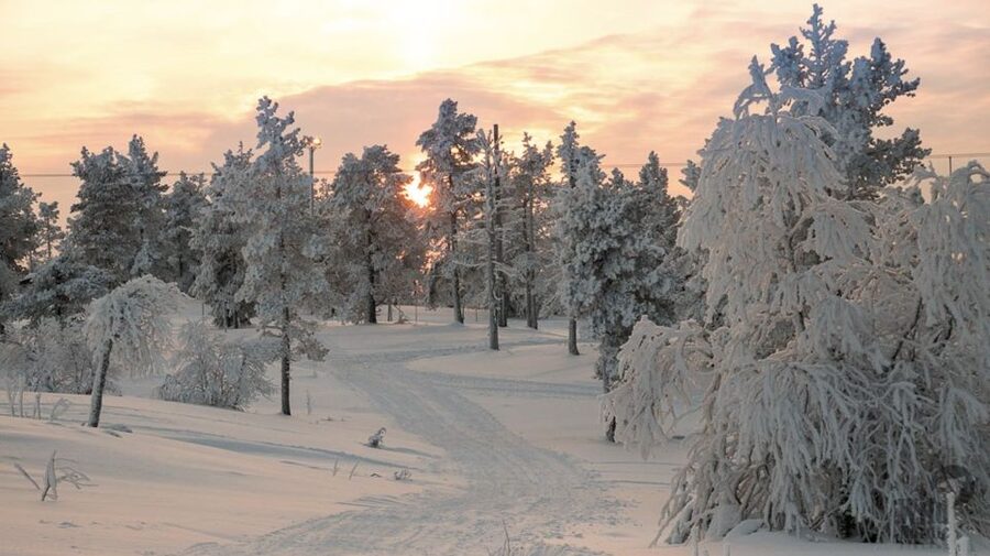 Levi: 4 Hour Snowmobile Safari to the Fells in Levi - The mid-tour coffee break: warmth, Finnish buns, and an easy reset