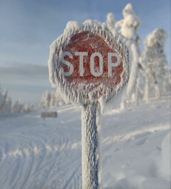 Levi: 4 Hour Snowmobile Safari to the Fells in Levi - Price and value: what $233 buys you in real time