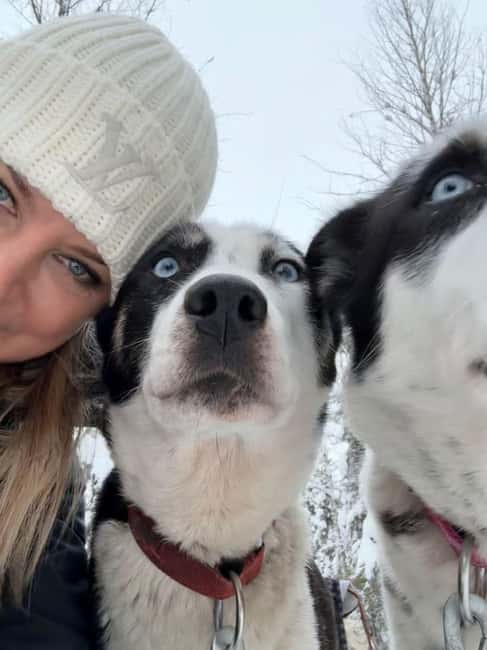 Levi: 5 Km Husky Sledding Ride in Levi - Who should book this Levi husky ride, and who should skip it