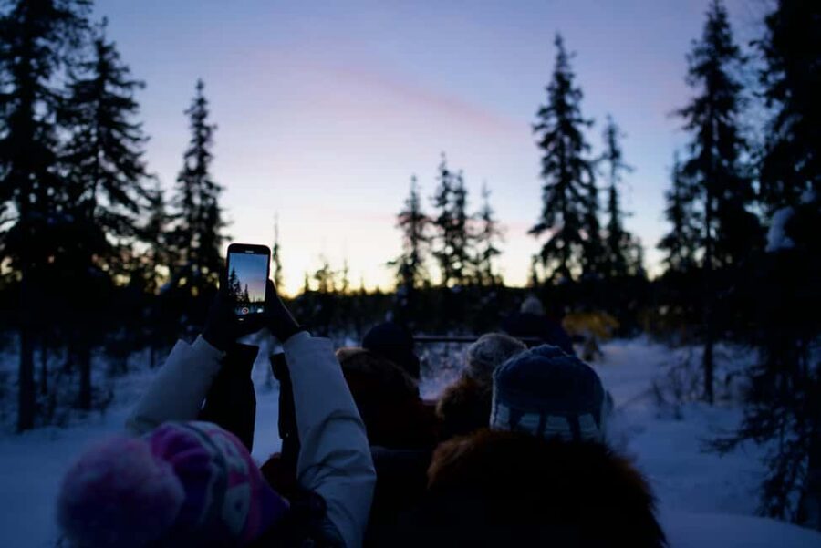 Levi: 5km Self-Driven Husky Ride, Hot drinks & doughnuts - Warm-up time in the Kota cabin: hot drinks and Sámi culture stories