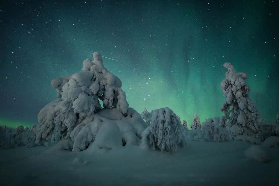 LEVI Adults Only Northern Lights Hunt with Snowshoeing - Key Highlights You’ll Care About