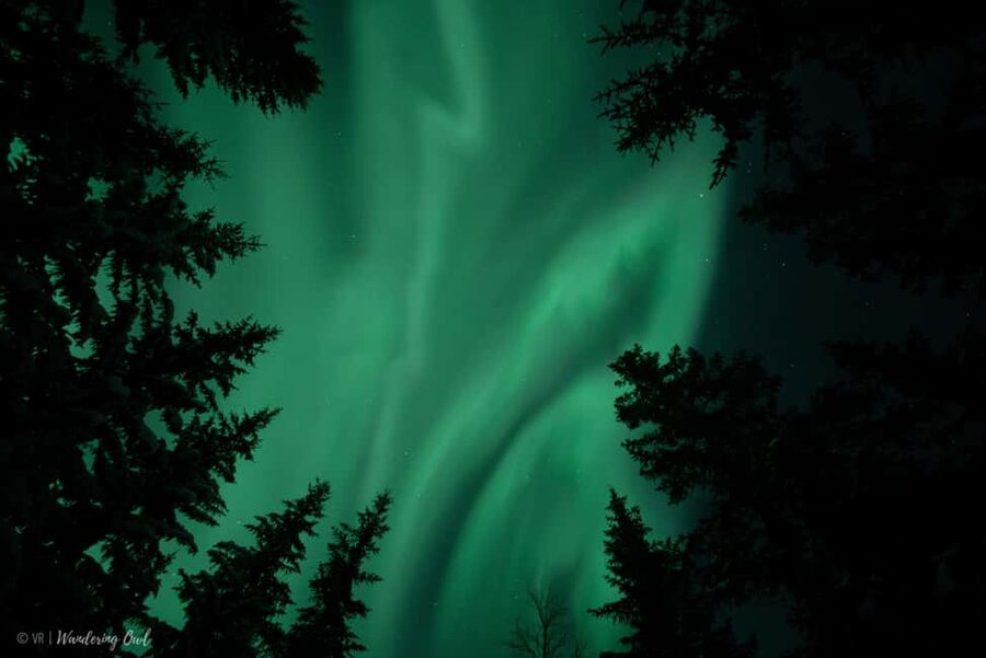 LEVI Adults Only Northern Lights Hunt with Snowshoeing - Adults-only Snowshoeing Aurora Hunt in Levi: Why This Format Works