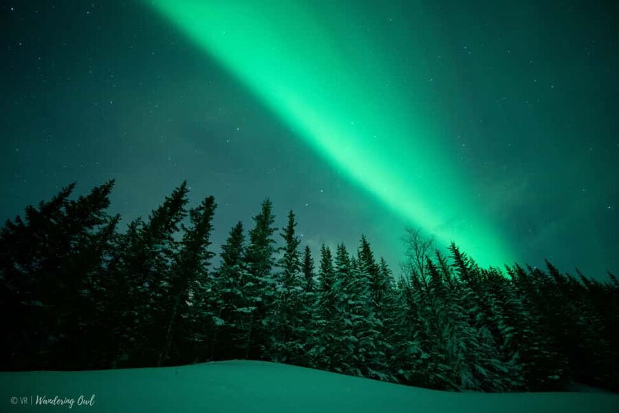 LEVI Adults Only Northern Lights Hunt with Snowshoeing - How Guides Use Forecasts to Find Aurora, Not Just Stand and Hope