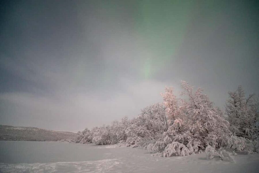 LEVI Adults Only Northern Lights Hunt with Snowshoeing - The Outdoor Meal and Campfire Moment You’ll Actually Remember