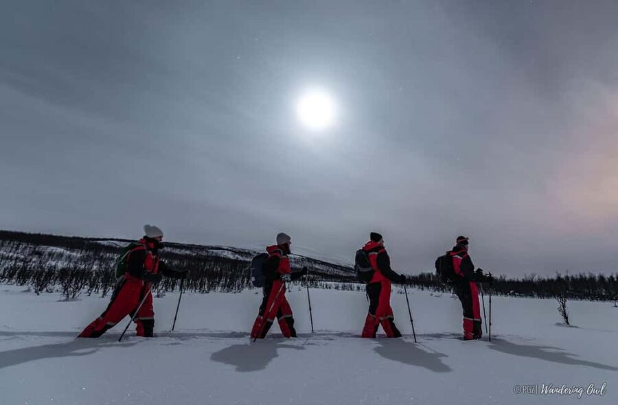 LEVI Adults Only Northern Lights Hunt with Snowshoeing - The 6-Hour Arc: What the Night Feels Like From Start to Finish