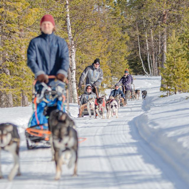 Levi: Arctic Combo - Husky & Reindeer Ride - Levi Arctic Combo: Husky and Reindeer in one 1.5 hour hit
