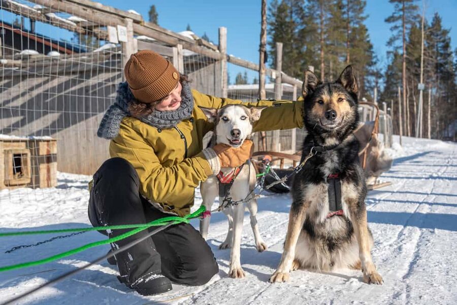 Levi: Arctic Combo - Husky & Reindeer Ride - Farm presentation and local snacks that actually matter in winter