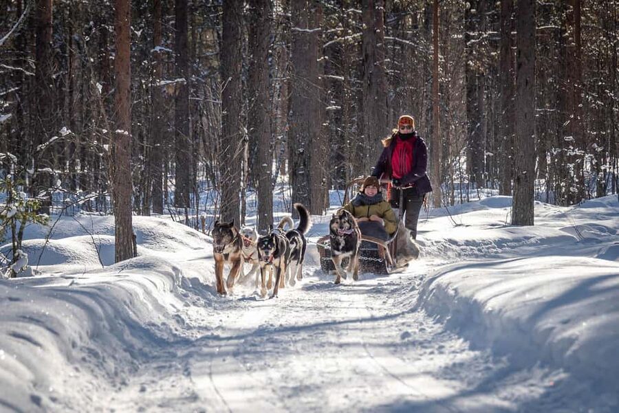Levi: Arctic Combo – Husky & Reindeer Ride - Where you meet: Levi Center at Hissitie 11 (Polar Lights Tours bus)