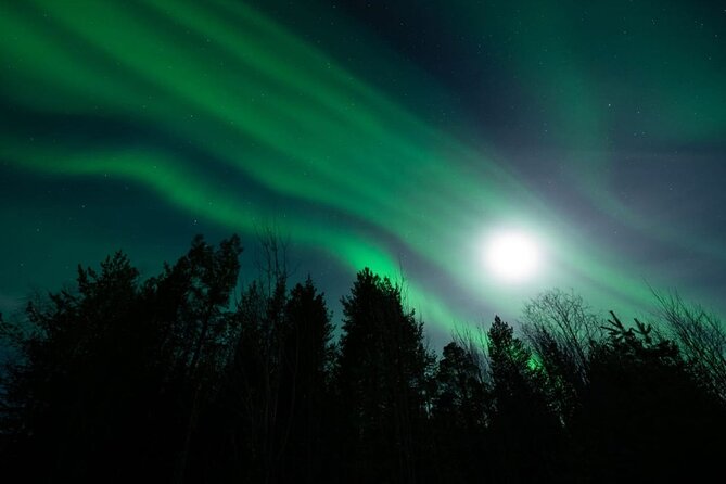 Levi: Aurora Borealis Tour and Stargazing Experience - Campfire Comfort, Heated Shelter, and Food That Keeps You Watching