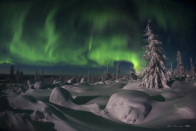 Levi: Aurora Borealis Tour and Stargazing Experience - Aurora Hunting That Feels Determined, Not Chaotic