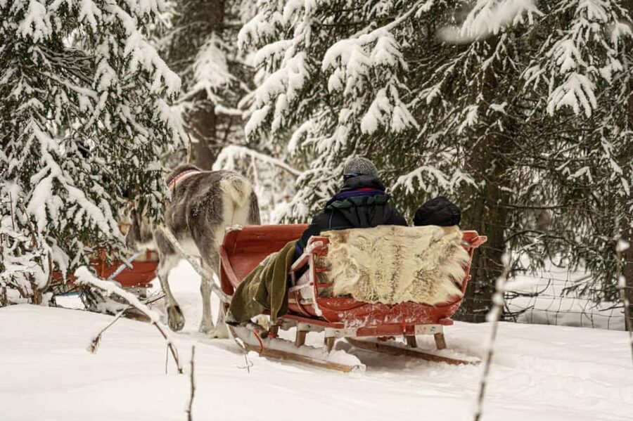 Levi: Authentic Reindeer Sled Ride with Photographer - The Pickup and Transfer: The Part You Want to Get Right