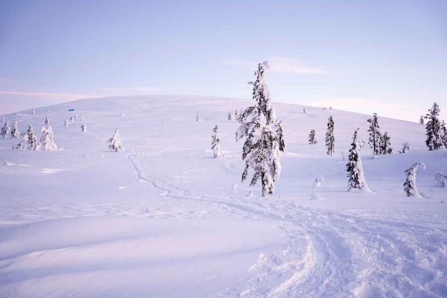 Levi: Backcountry Skiing Adventure - Key things to know before you go