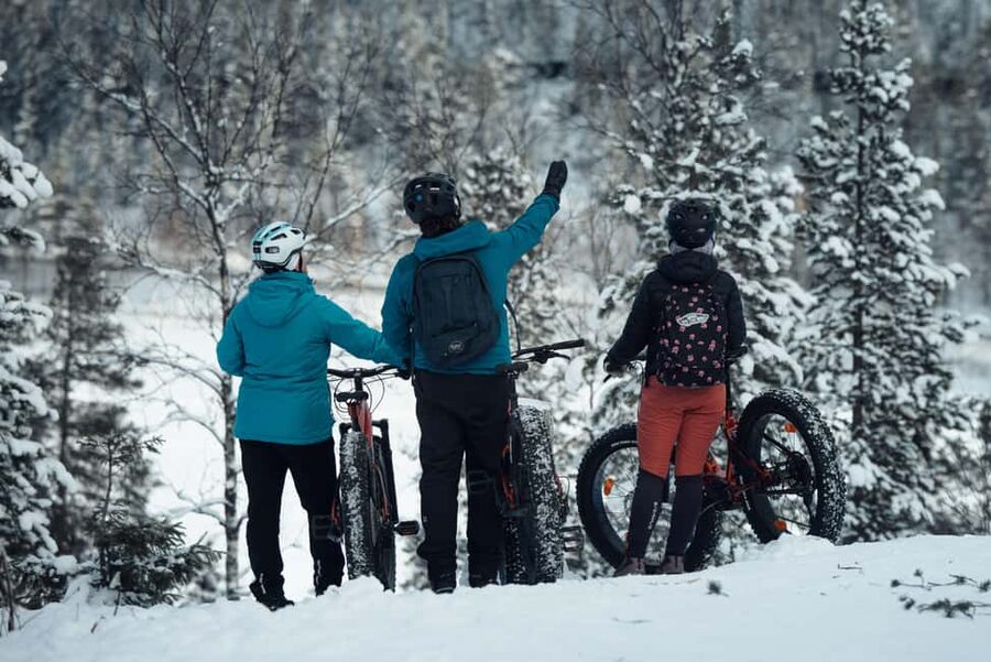 Levi: E-Fatbike Adventure in Snowy Forest - How Hard Is It, Really? Electric Assist vs. Winter Reality
