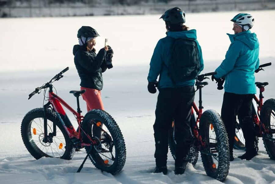 Levi: E-Fatbike Adventure in Snowy Forest - Who Should Book This E-Fatbike Tour in Levi?