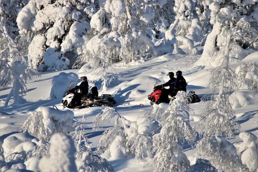 Levi: Easy Snowmobile Safari into the Nature - Gear, Meeting Point, and the Moment You Learn the Snowmobile