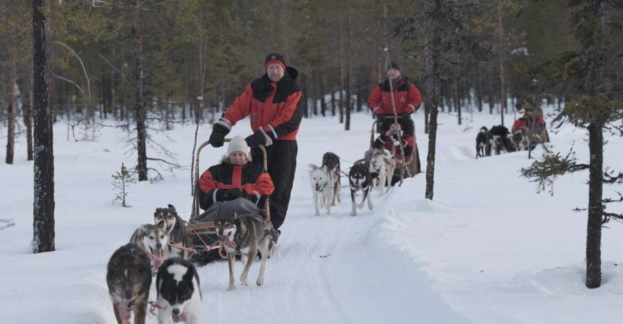 Levi: Evening Husky Sled Ride under the Northern Lights - Safety Briefing in Sirkka: How This Keeps the Ride Comfortable