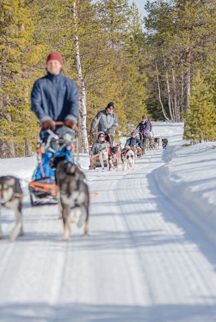 Levi: Evening Husky Sled Ride under the Northern Lights - Starting at Hissitie 11: Pickup That Makes the Evening Easy