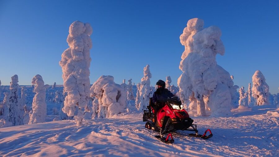 Levi: Evening Snowmobile Safari - Quick Practical Tips Before You Go