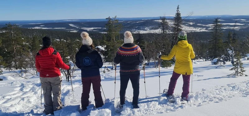 Levi: Evening Snowshoe Walk Under Northern Sky - Key things to know before you go