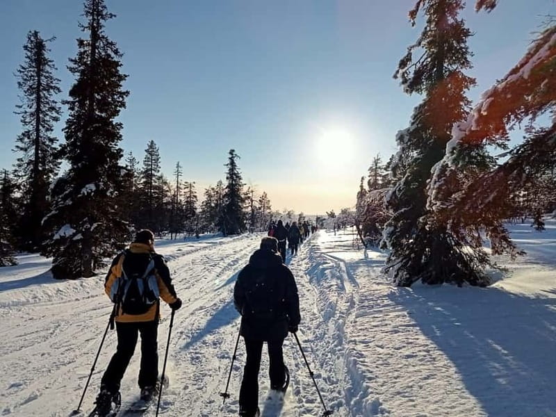 Levi: Evening Snowshoe Walk Under Northern Sky - Northern Lights odds under truly dark skies