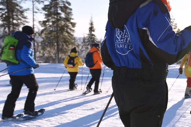 Levi: Evening Snowshoe Walk Under Northern Sky - What your local guide teaches you in the quiet dark