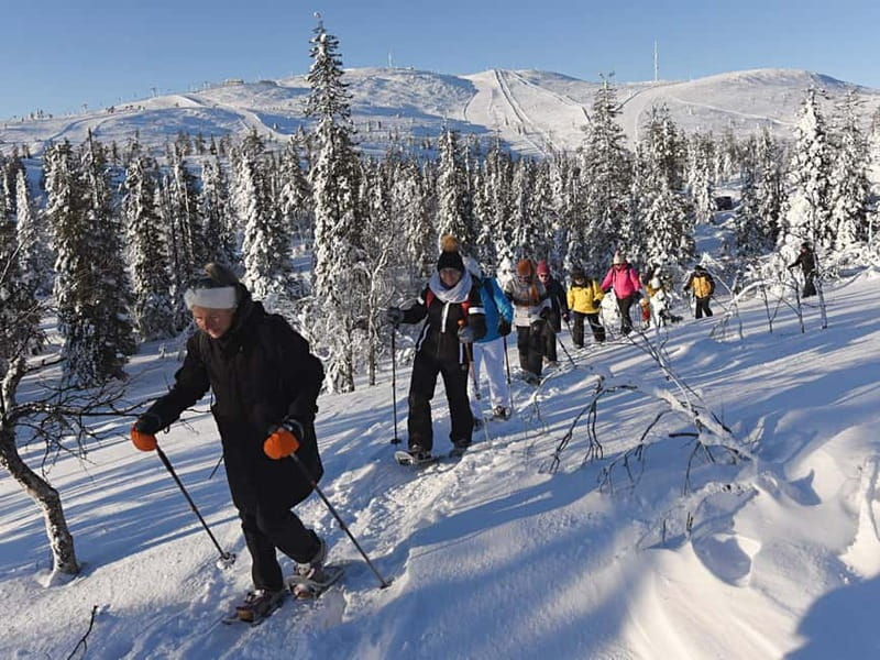Levi: Evening Snowshoe Walk Under Northern Sky - Gear and clothing for 150 minutes of cold comfort