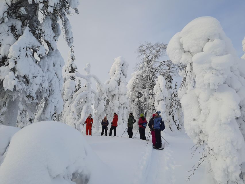 Levi: Evening Snowshoe Walk Under Northern Sky - Transfers, route changes, and safety when the weather turns