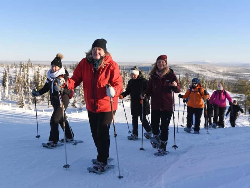 Levi: Evening Snowshoe Walk Under Northern Sky - Price and value: is $146 per person worth it?