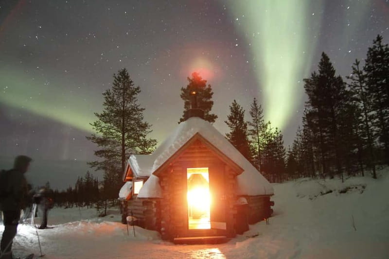 Levi: Evening Snowshoe Walk Under Northern Sky - Snowshoeing through Lapland forests under starlight