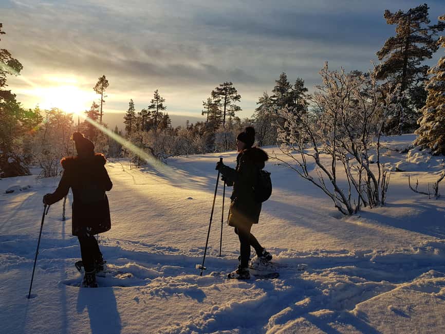 Levi: Gentle Snowshoe Walk in Winter Wilderness - Why This Gentle Snowshoe Walk Works in Real Winter Conditions