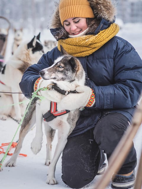 Levi: Guide-driven Husky Safari - Key things I’d bet on