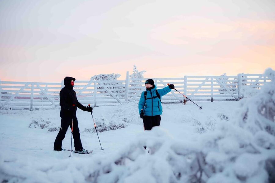 Levi: Guided Snowshoeing Adventure - A 2-hour snowshoe reset in Finnish Lapland