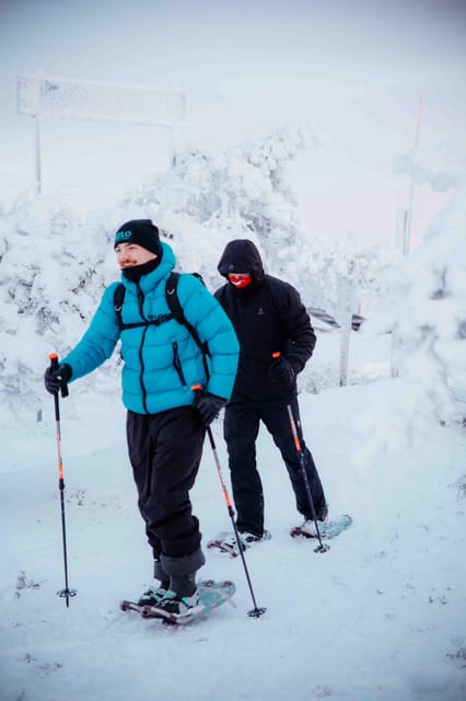 Levi: Guided Snowshoeing Adventure - Your guide sets the pace, from first-timers to steady walkers