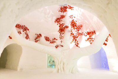 Guided Trip to Lainio SnowVillage
