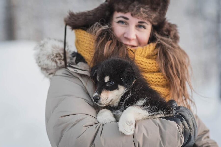Levi: Horse and Husky Farm Visit with Juice and Cookies - Key Things You’ll Notice Right Away
