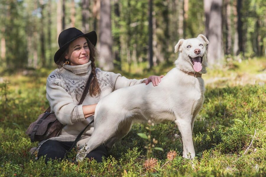 Levi: Horse and Husky Farm Visit with Juice and Cookies - The Animals You Meet: Huskies, Finnish Horses, and Domestic Reindeer