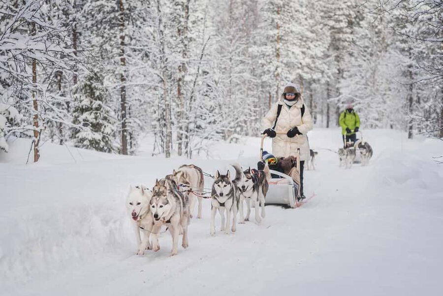 Levi: Husky Adventure Self-Drive Safari 15km - Key Things You Should Know Before You Go