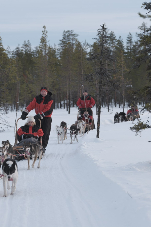 Levi: Husky Adventure Self-Drive Safari 15km - From Levi Center To a Family Farm, Without the Headache