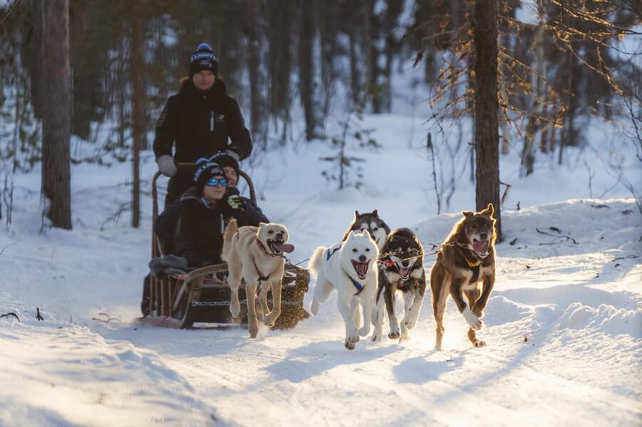 Levi: Husky Adventure Self-Drive Safari 15km - The Safety Briefing: Where Confidence Is Built Fast