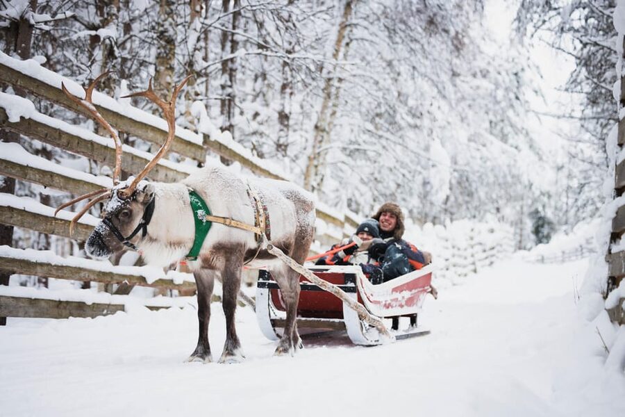 Levi: Husky and Reindeer Farm Visit with Snowmobiling - Levi in four hours: snowmobiles first, then huskies and reindeer